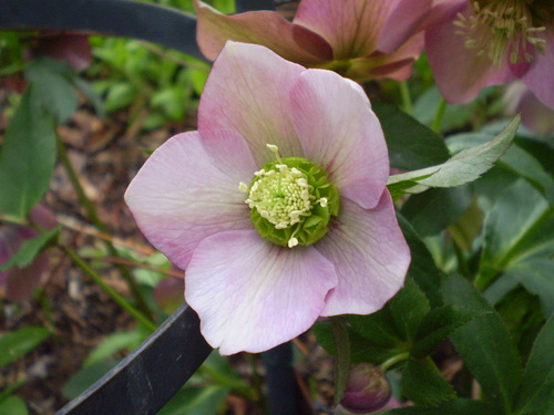 a0135990_21371258.jpg