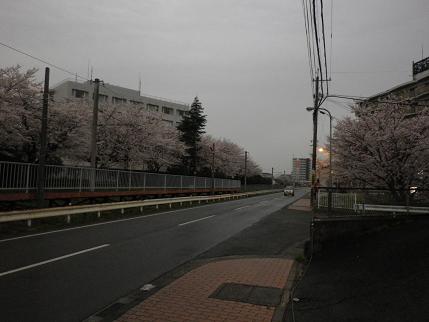 e0048994_1022874.jpg