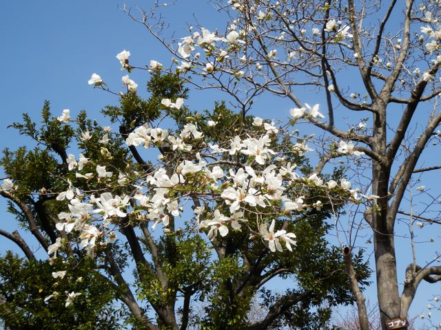 f0130894_2229296.jpg