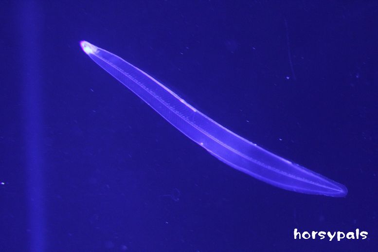 f0158697_22311966.jpg
