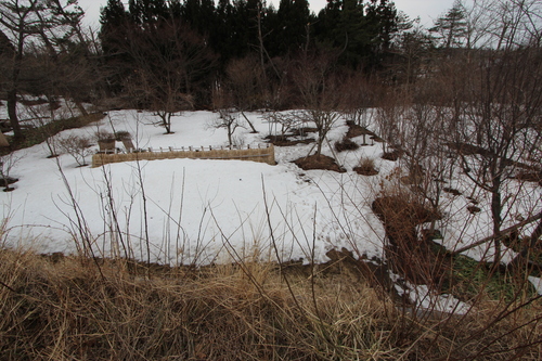 e0054299_16431550.jpg
