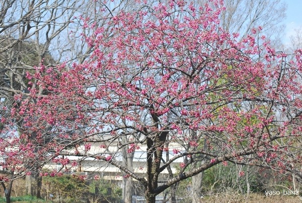 e0025300_14391950.jpg