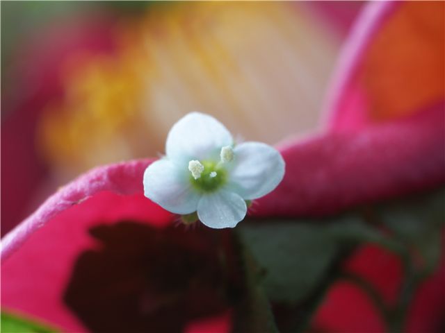 f0224100_20105964.jpg