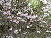 f0191517_13143391.jpg