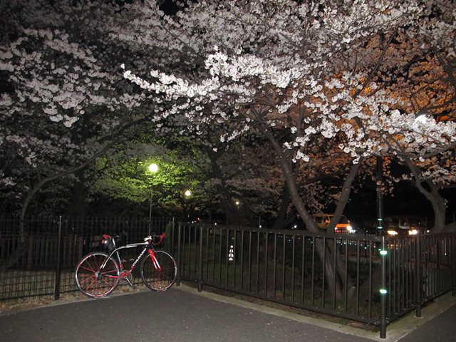 c0238519_22533583.jpg