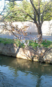 c0188928_2113287.jpg