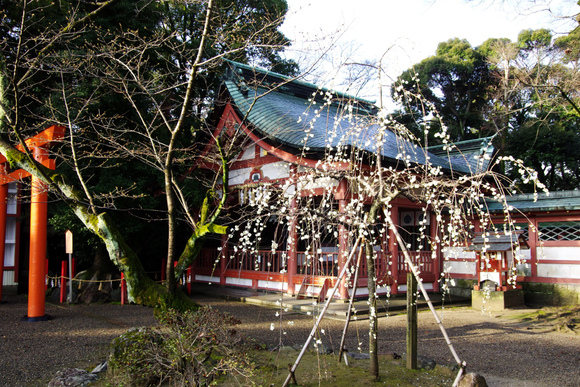 d0250028_8405663.jpg