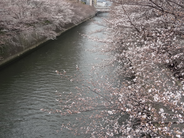 e0016828_10534168.jpg