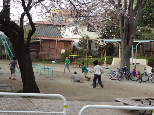 e0016828_1215170.jpg