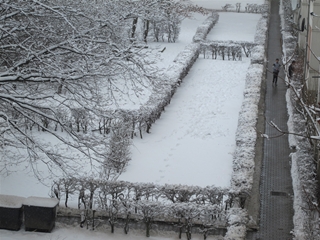 f0224632_3423724.jpg
