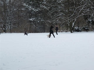 f0224632_3435014.jpg