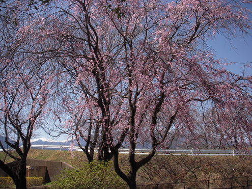 c0114833_18102588.jpg