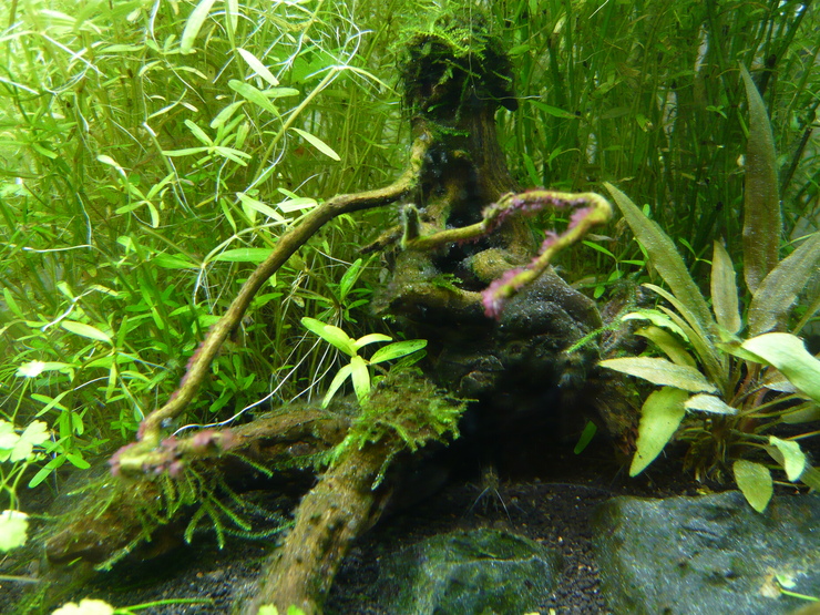 c0250835_164249.jpg