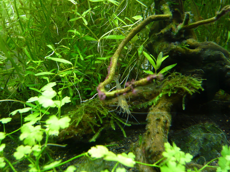 c0250835_1683395.jpg