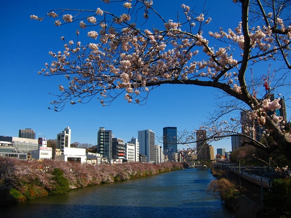 a0219537_22451548.jpg