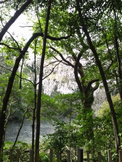 e0221739_6192389.jpg