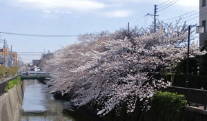 c0020649_13542878.gif