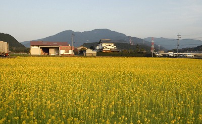 c0171349_15572350.jpg