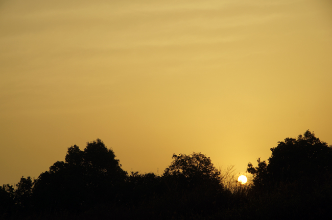 f0214649_2124114.jpg