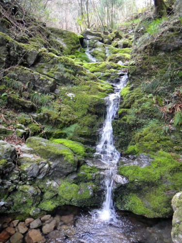 c0179351_20455891.jpg