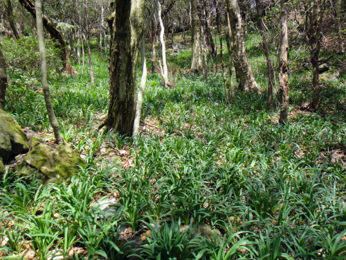 c0179351_20484751.jpg