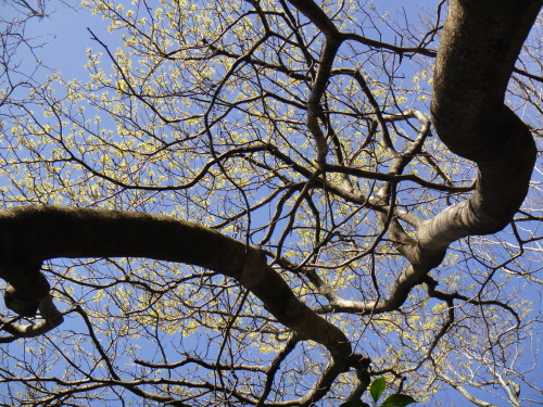 c0179351_20532411.jpg