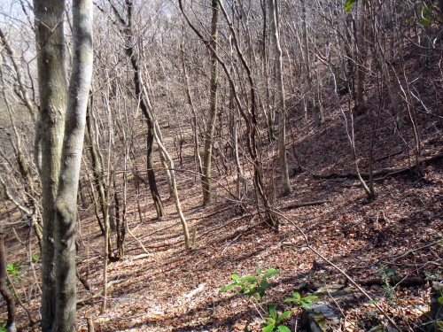 c0179351_20545680.jpg