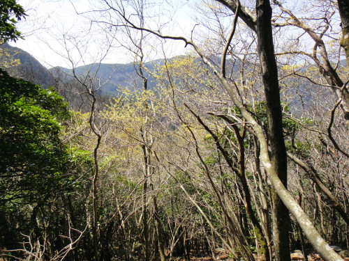 c0179351_2054953.jpg