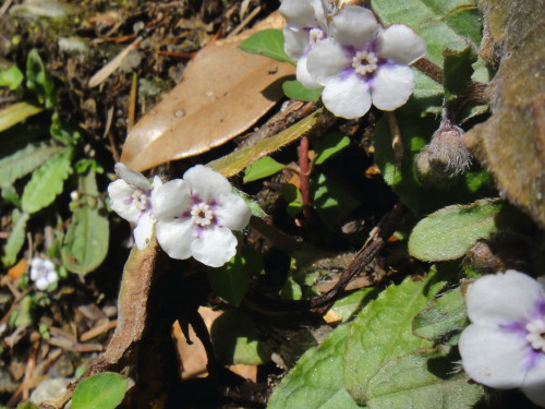 c0179351_20564349.jpg