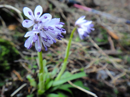 c0179351_2059433.jpg
