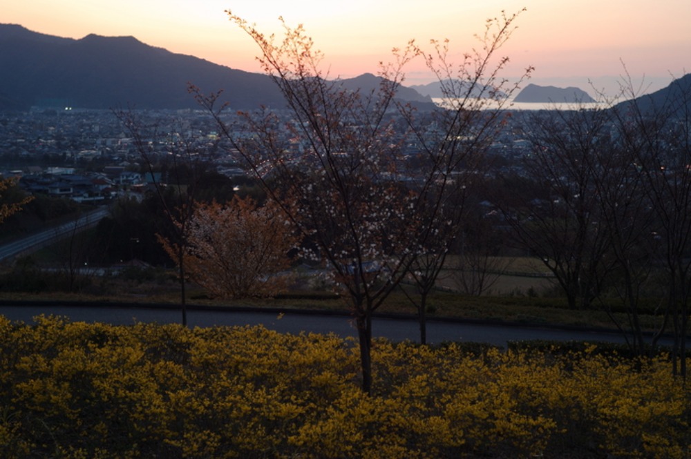 e0264158_2372572.jpg
