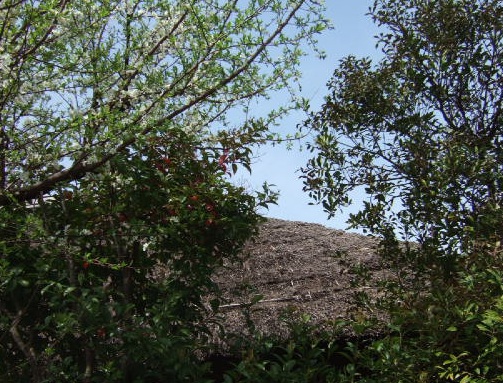 e0225164_4564185.jpg