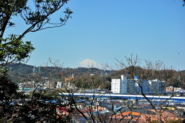 e0020166_1940724.jpg