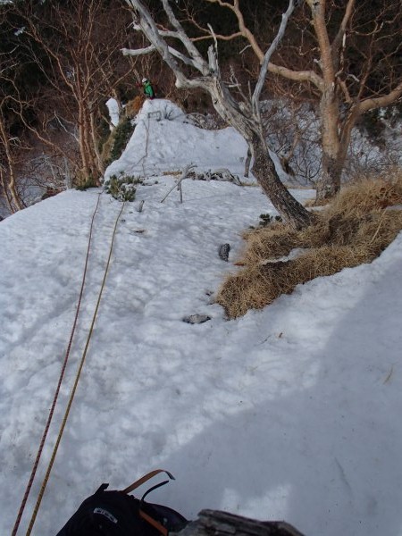 b0050067_223438100.jpg