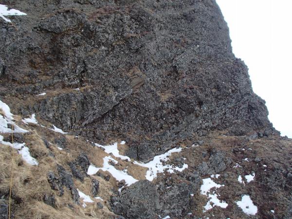 b0050067_22511336.jpg