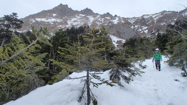 b0050067_23094.jpg