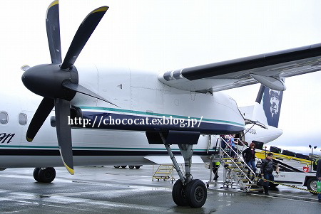 e0128367_1591867.jpg