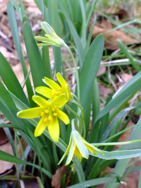e0145782_771168.jpg
