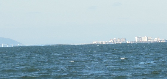 f0135385_20262983.jpg