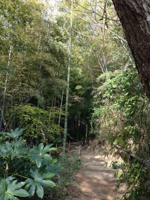 d0235288_13342856.jpg
