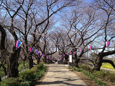 e0152990_17322829.jpg