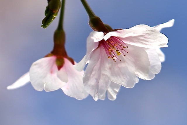 f0141392_21225233.jpg