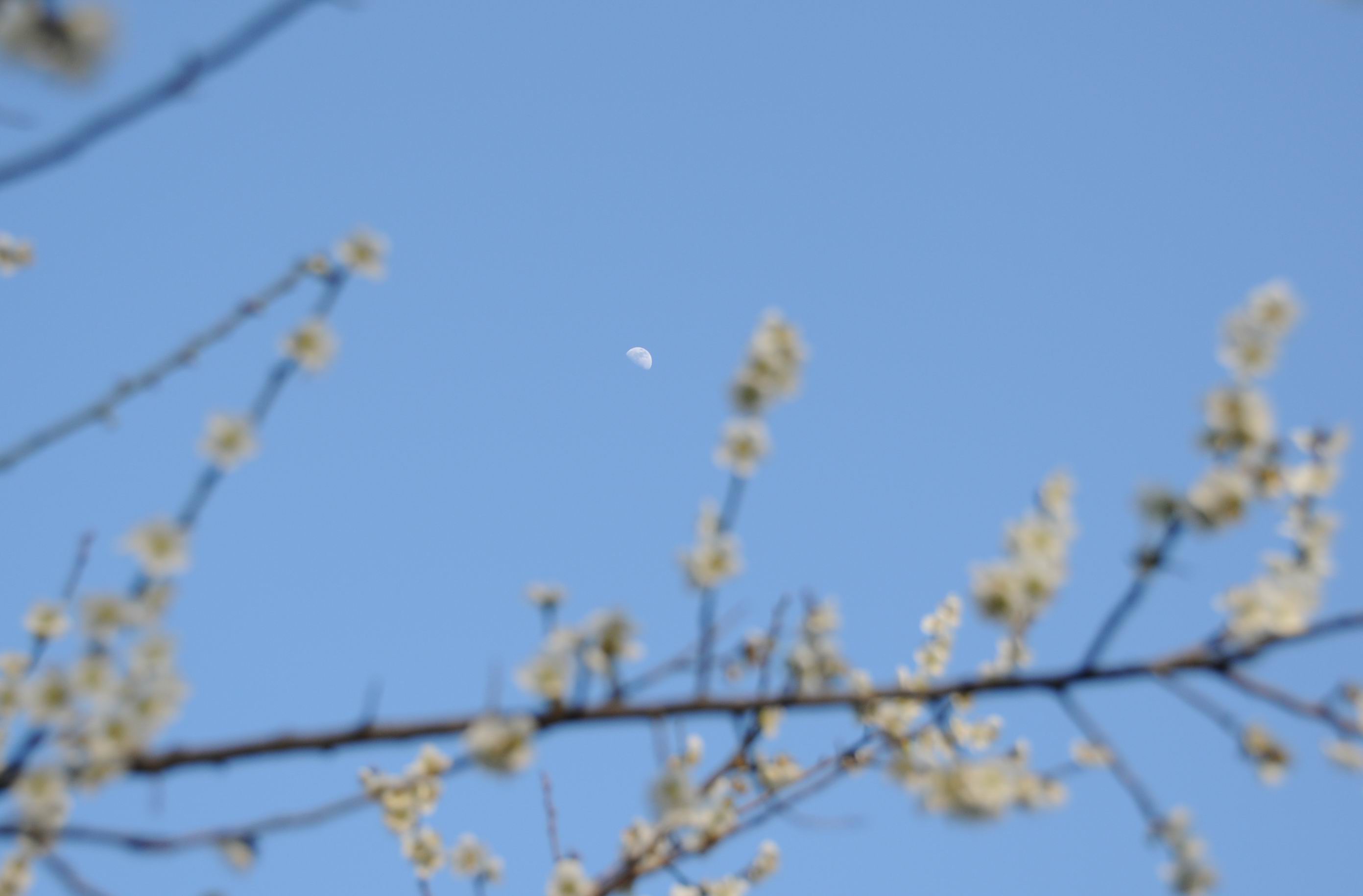 d0234293_183592.jpg