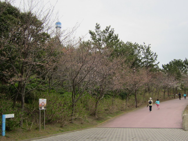 d0098295_23211443.jpg