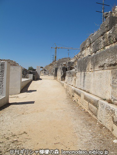c0010496_031576.jpg