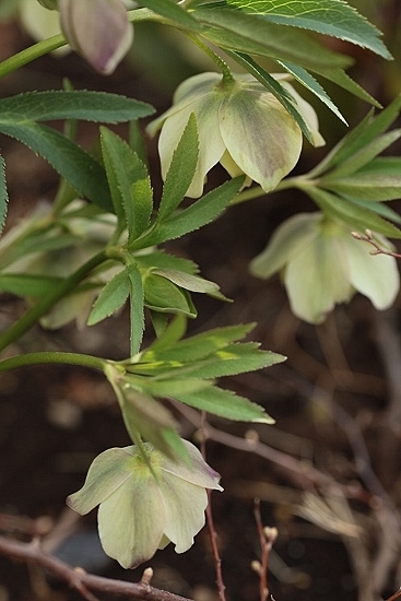 e0209997_22592810.jpg