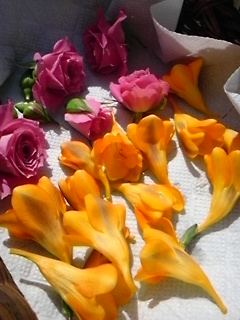 f0116297_10571417.jpg