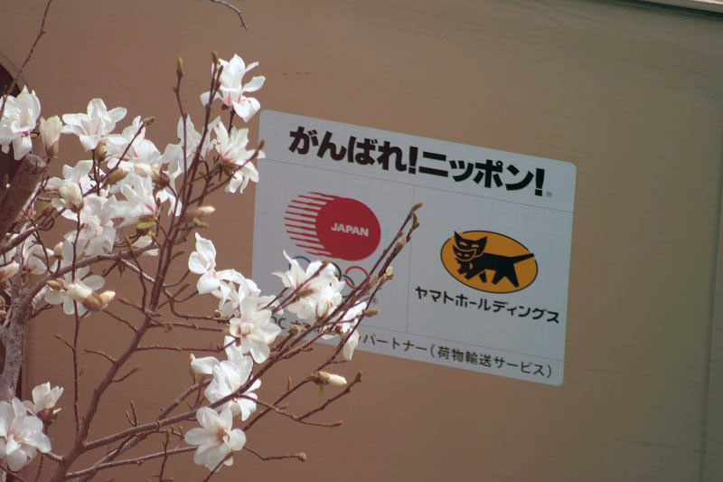 f0083400_20495910.jpg