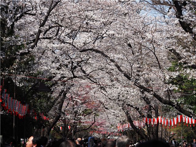 f0224100_1814984.jpg