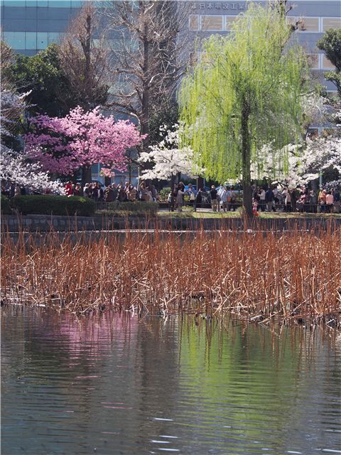 f0224100_18165262.jpg